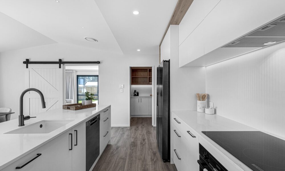 24-print-1 Monarch Drive-4636-min